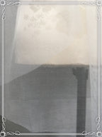brautschleier-kurz-1-lagig-ivory-feintuell