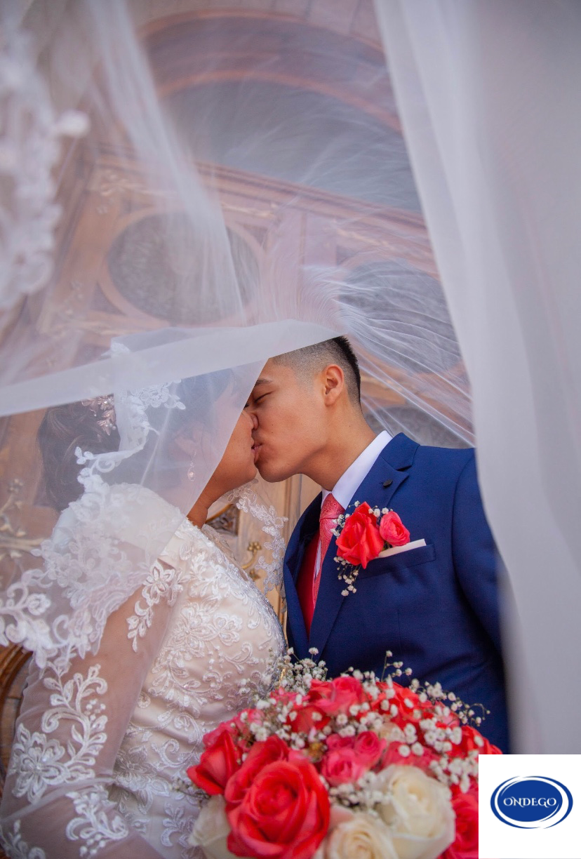 brautschleier-rueckansicht-lang-weiss-spitze-brautkleid