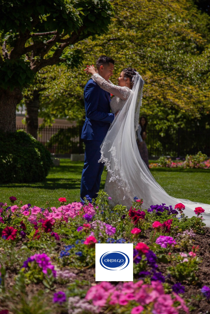 hochzeitsschleier-weiss-lang-feiner-tuell-mit-spitze